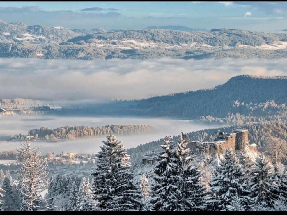 Alpe-Adria Apartments Chanel Top12 Oberaichwald  Екстер'єр фото